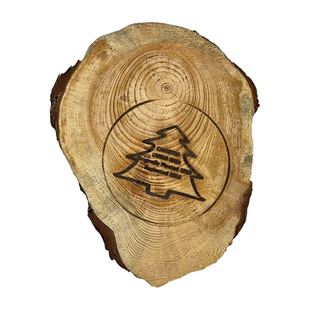 Canisteo Living Sign Tree Ring Cutting Planted 1933 Replanted 2016 5x7